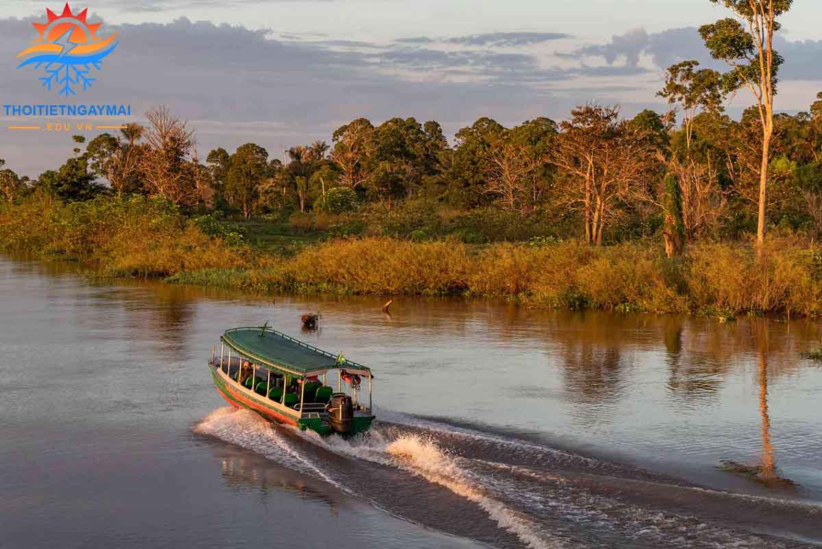 Lịch sử hình thành sông Amazon