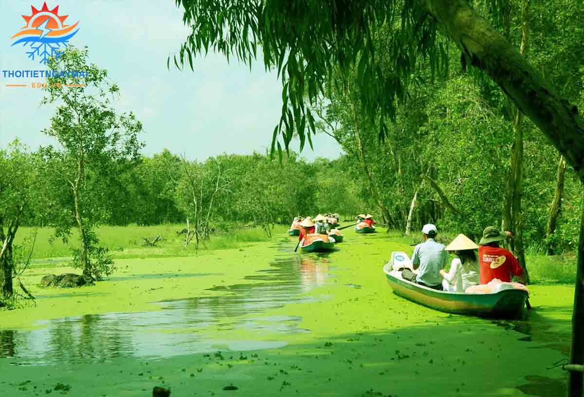 Rừng ngập mặn của Đồng bằng sông Cửu Long