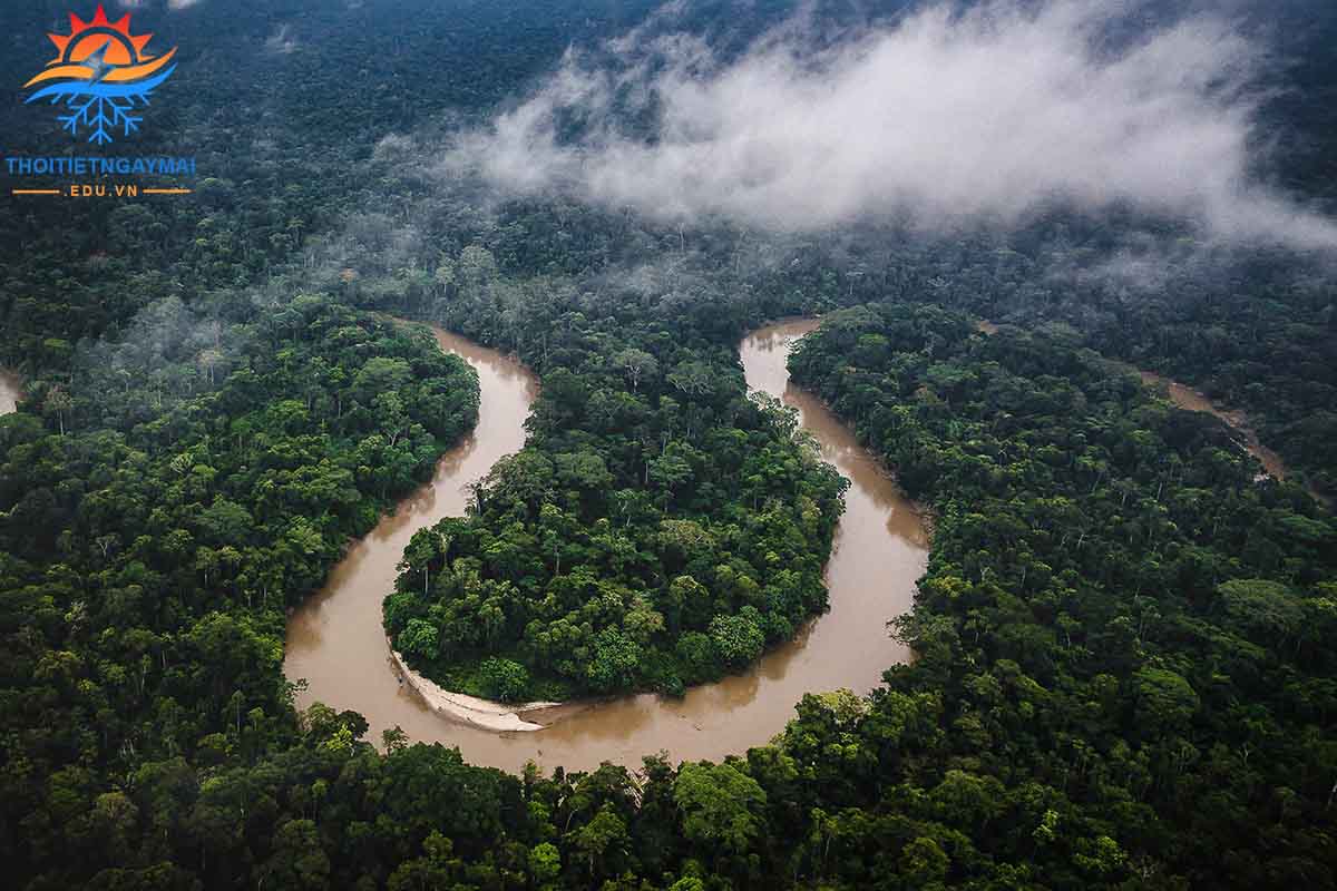 Sông Amazon được mệnh danh dài nhất thế giới