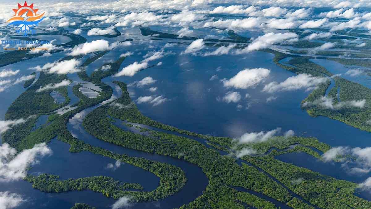 Sông Amazon nằm ở châu lục nào?