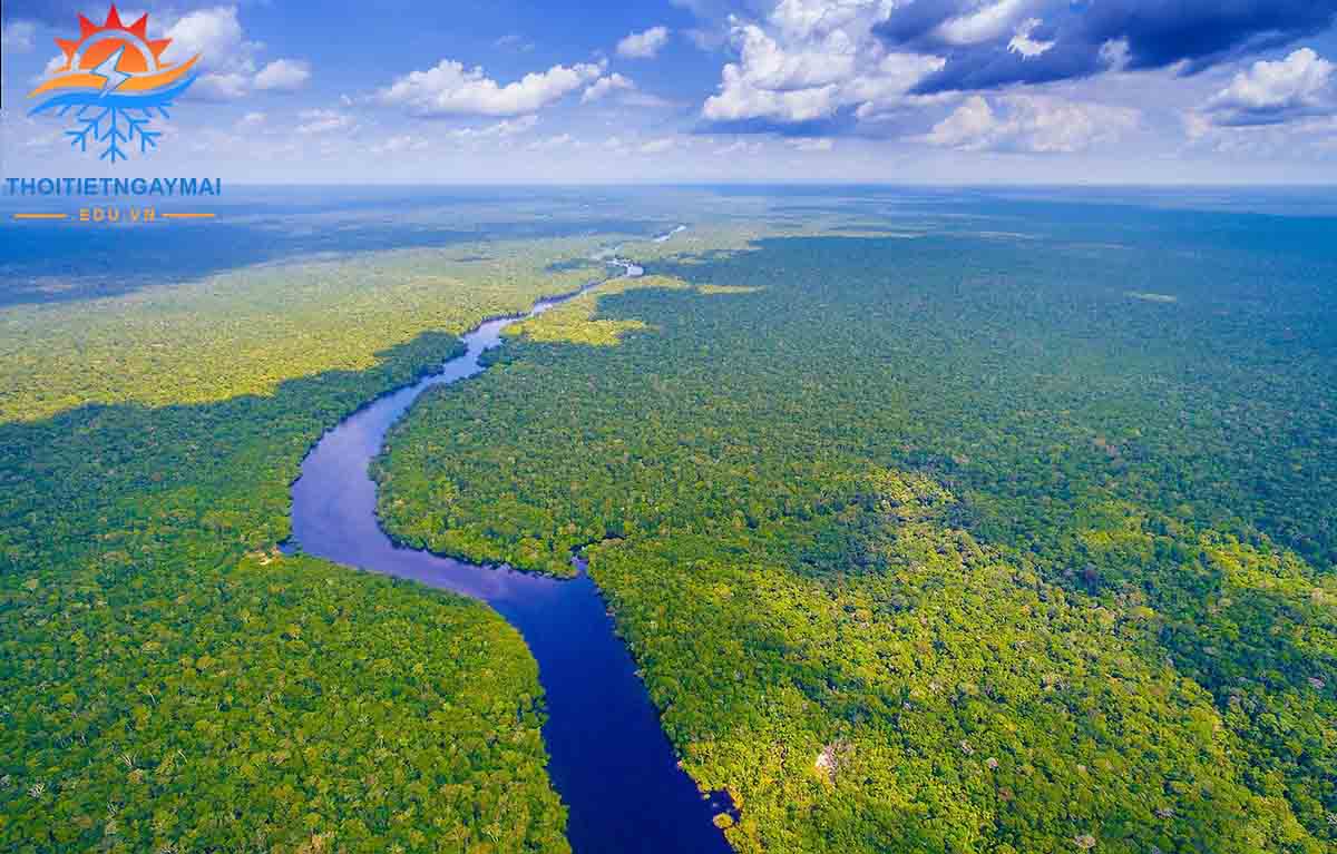 Sông Amazon nằm ở châu lục Nam Mỹ